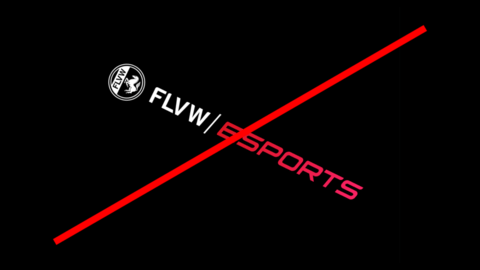flvw-esports-cd-styleguide_logos_flvw_anwendung_drehung.png