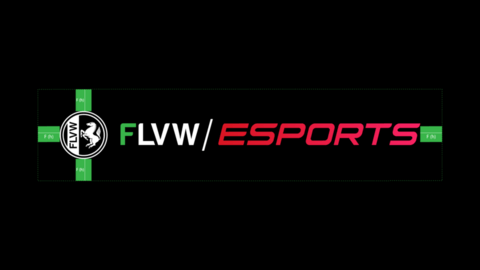 flvw-esports-cd-styleguide_logos_flvw_vermassung_basic.png