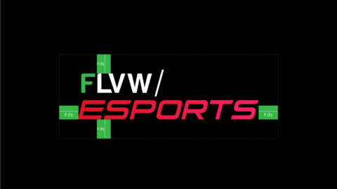 flvw-esports-cd-styleguide_logos_flvw_vermassung_horizontal.png
