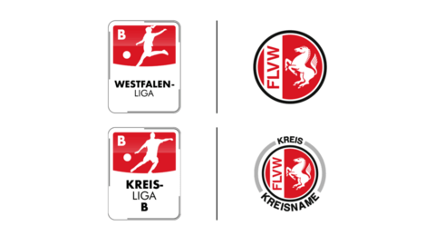 liga_flvw_logo.png
