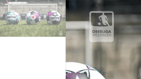 liga_wasserzeichen_3-2.png